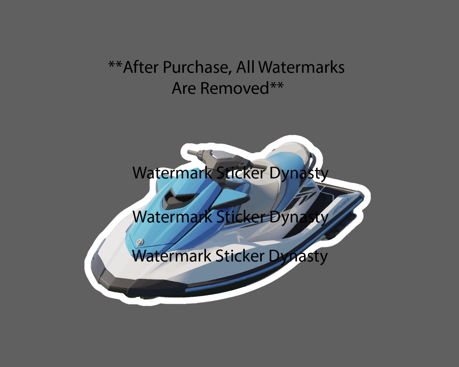 Jet Ski Sticker Waterproof Decal Ocean Lake River Water Sports Gift NEW