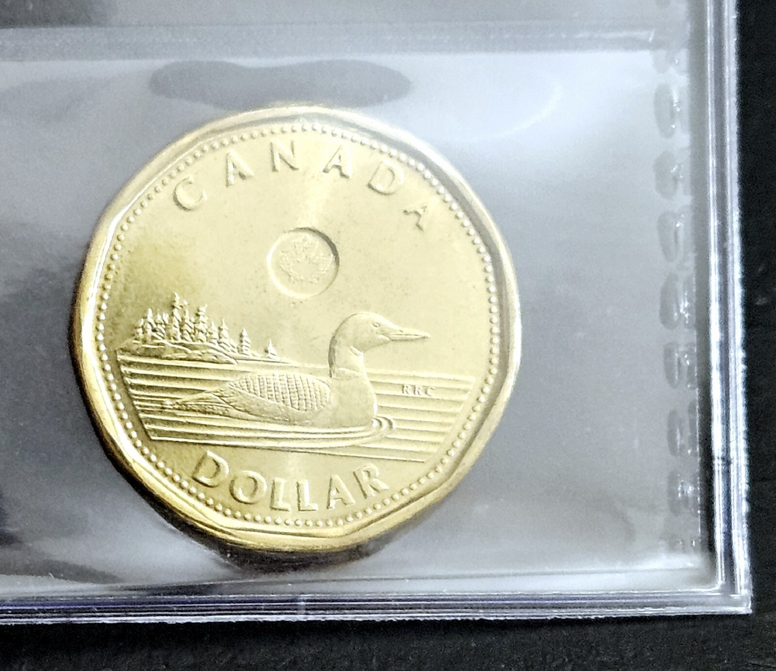 Canada 2017 Classic Unreleased Loonie - Gem BU UNC - CCCS Certified MS-65!!