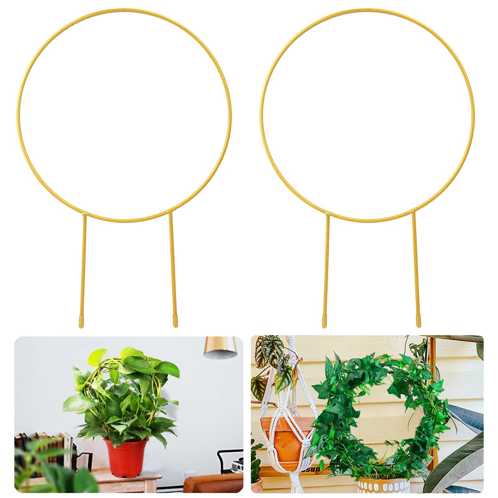 2 Pack Circle Trellis for Climbing Plants Indoor, 15" Gold Small Golden,Gold