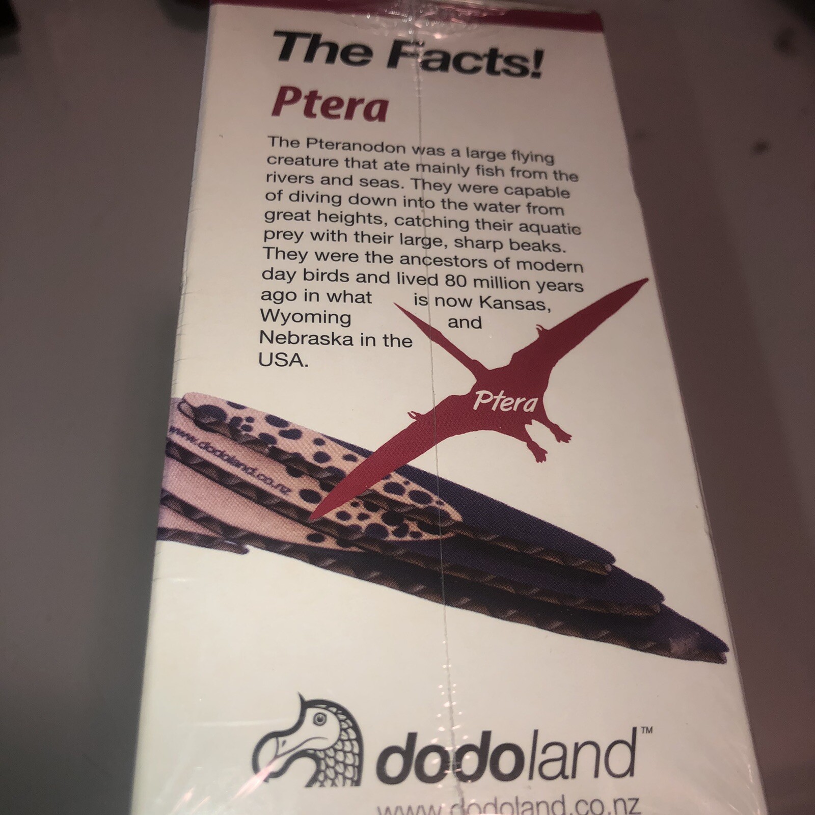 Dodo Land Cardboard Model Pterosaur Pteranodon Dodoland Ptera New Unopened