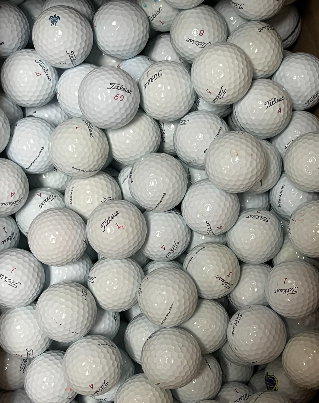 Titleist Pro V1X Mixed Years AAAAA Mint 24 Used Golf Balls 5A