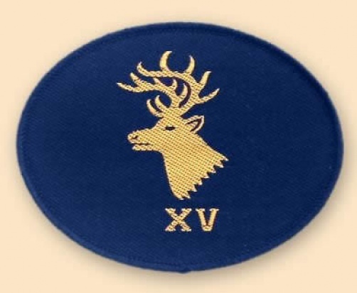 NEW OFFICIAL 15 Psyche Warfare Group. colour TRF