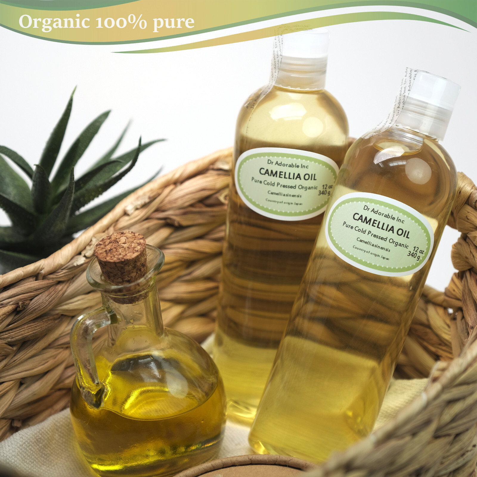 24 Oz Camellia Seed Oil Premium 100%Pure Organic Cold Pressed Carrier Anti Aging