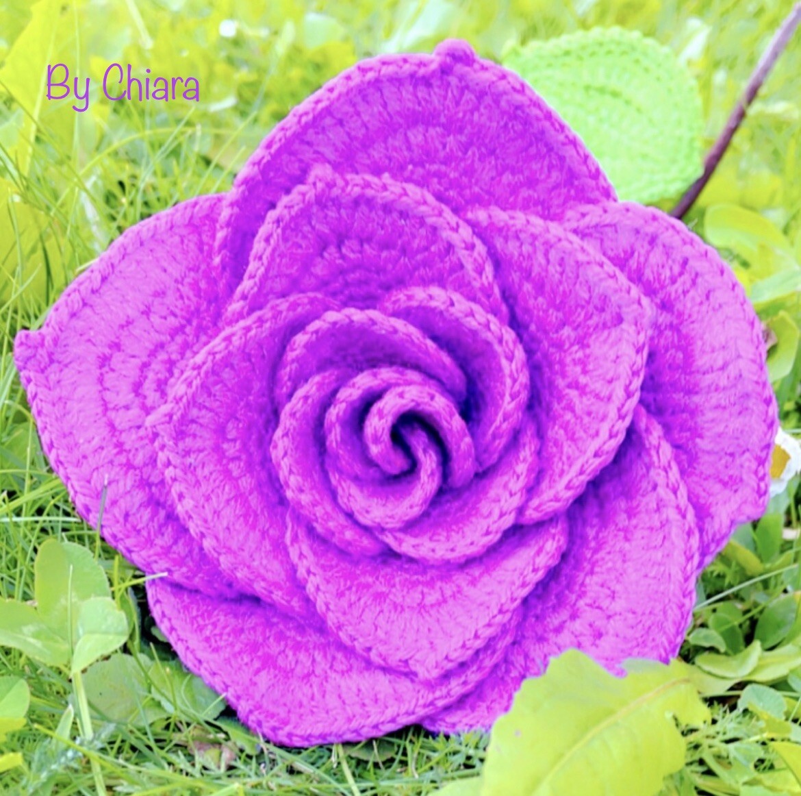 Rose Crochet