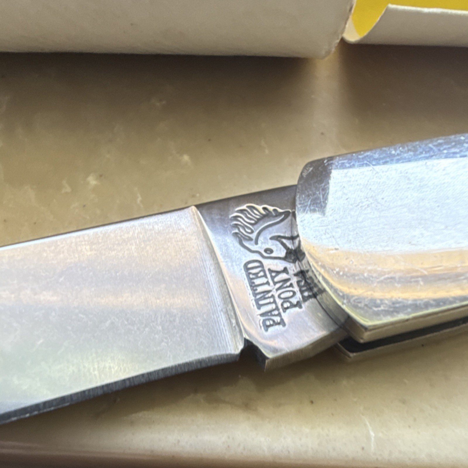 Painted Pony Pocketknife Michael Prater Shell Handle Stainless Drop Point