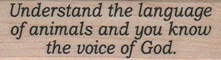 Understand The Language 1 x 3" Mounted Rubber Stamp, Words and Sayings