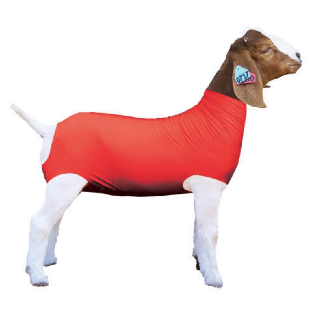 Showpro Outfitting Champions Pro Red Spandex Goat Tube For - Supplies