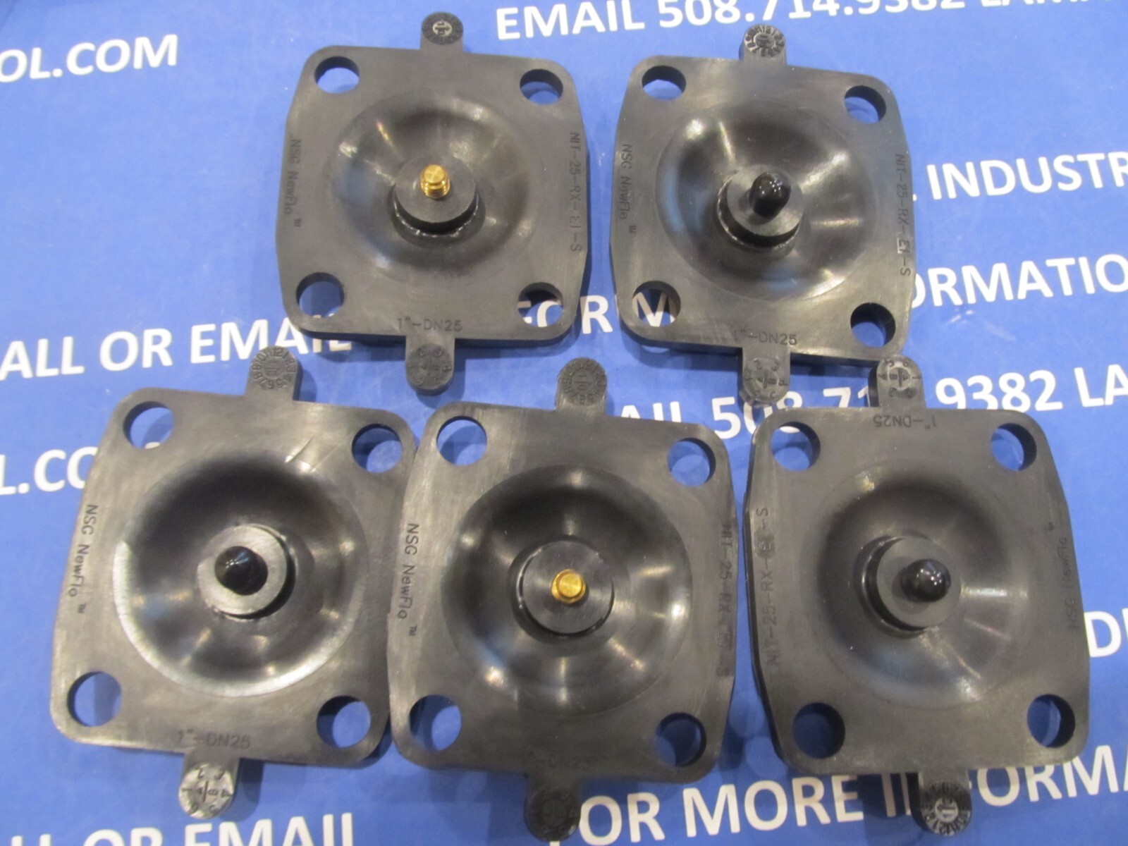 1" ITT (Newman) EPDM Diaphragm, Class VI 47256/NIT-25-RX-E1-S New Unused Surplus