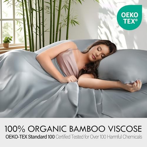 Sheets Bed Sheet Set, 100% Rayon derived from Bamboo, Luxuriously Queen Silver
