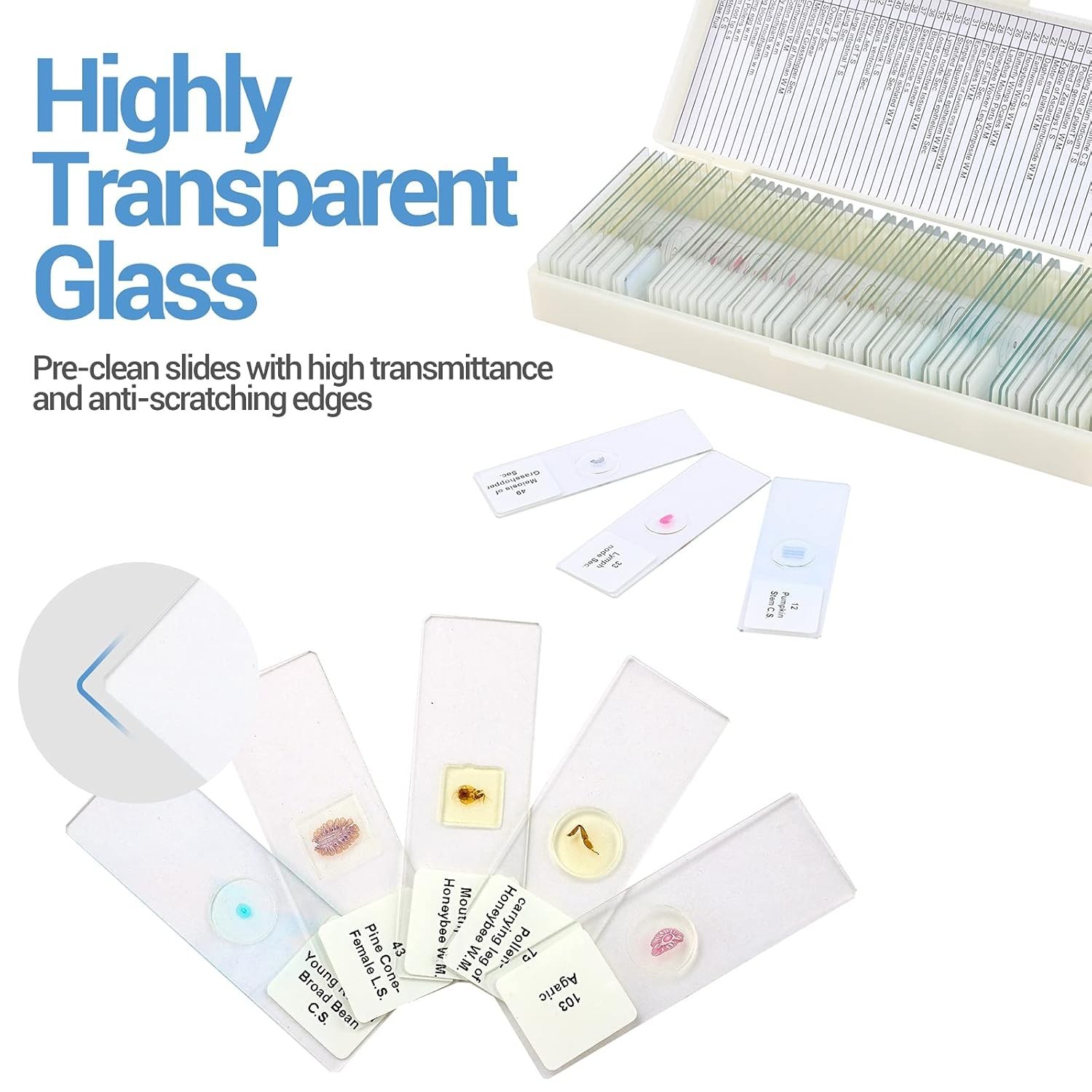 60 Microscope Slides with Specimens for Kids, Prepared Microscope Slides for ...