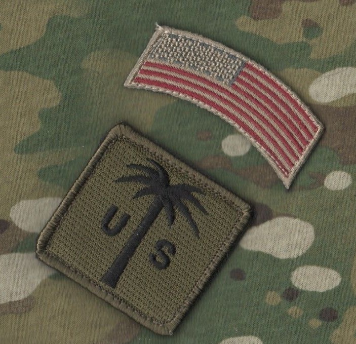 DAESH BASHER SEAL ODA GREEN BERET SFG SAS vêlkrö 2" 2-TAB SET: US FLAG + PALM TR