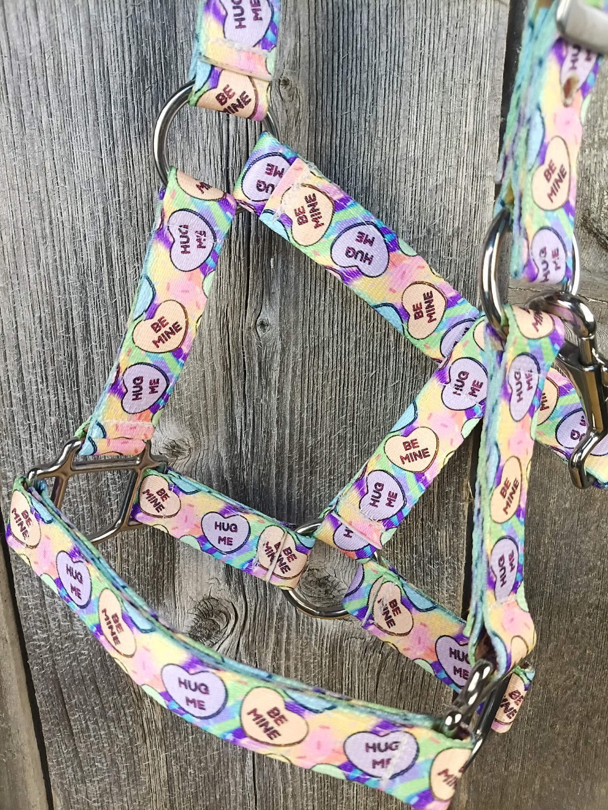 Custom Miniature Pony Halter ' Conversation Hearts' By Hot Headstalls
