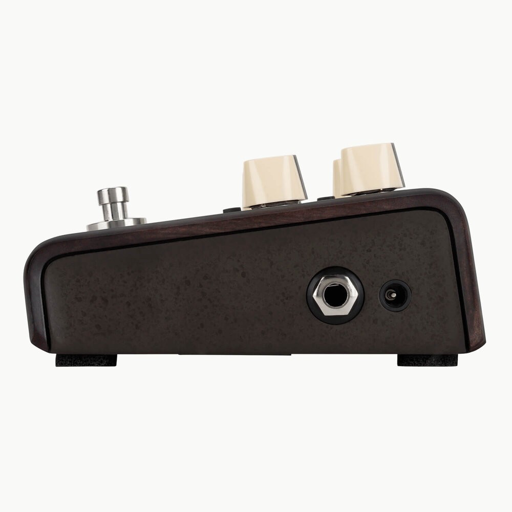 LR Baggs Align Series Delay Pedal