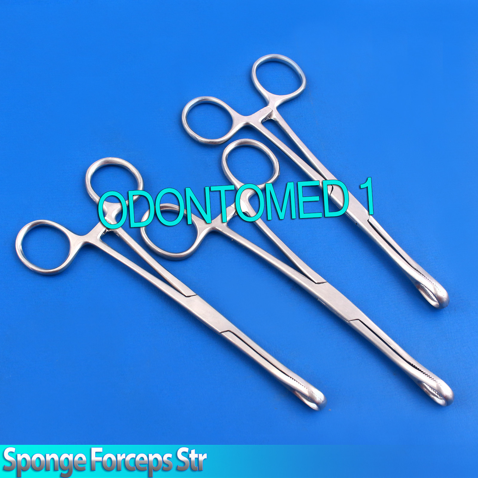 3 Sponge Holding Forceps Straight 6" Surgical Instruments