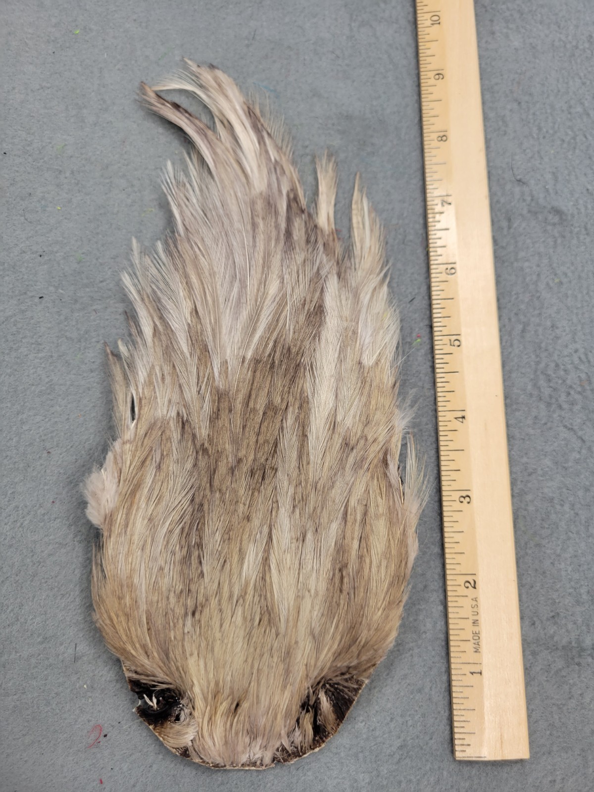 Lot 262, Grade B, DYED DUN  India Rooster Streamer Neck Cape Feathers