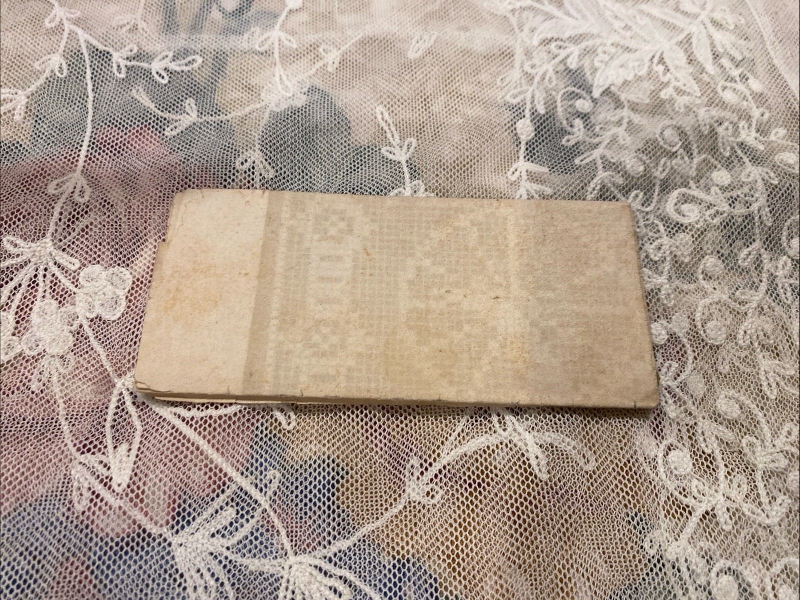 Original 1878 Victorian Godey's Lady's Book Bicycle Needlepoint Design Pattern