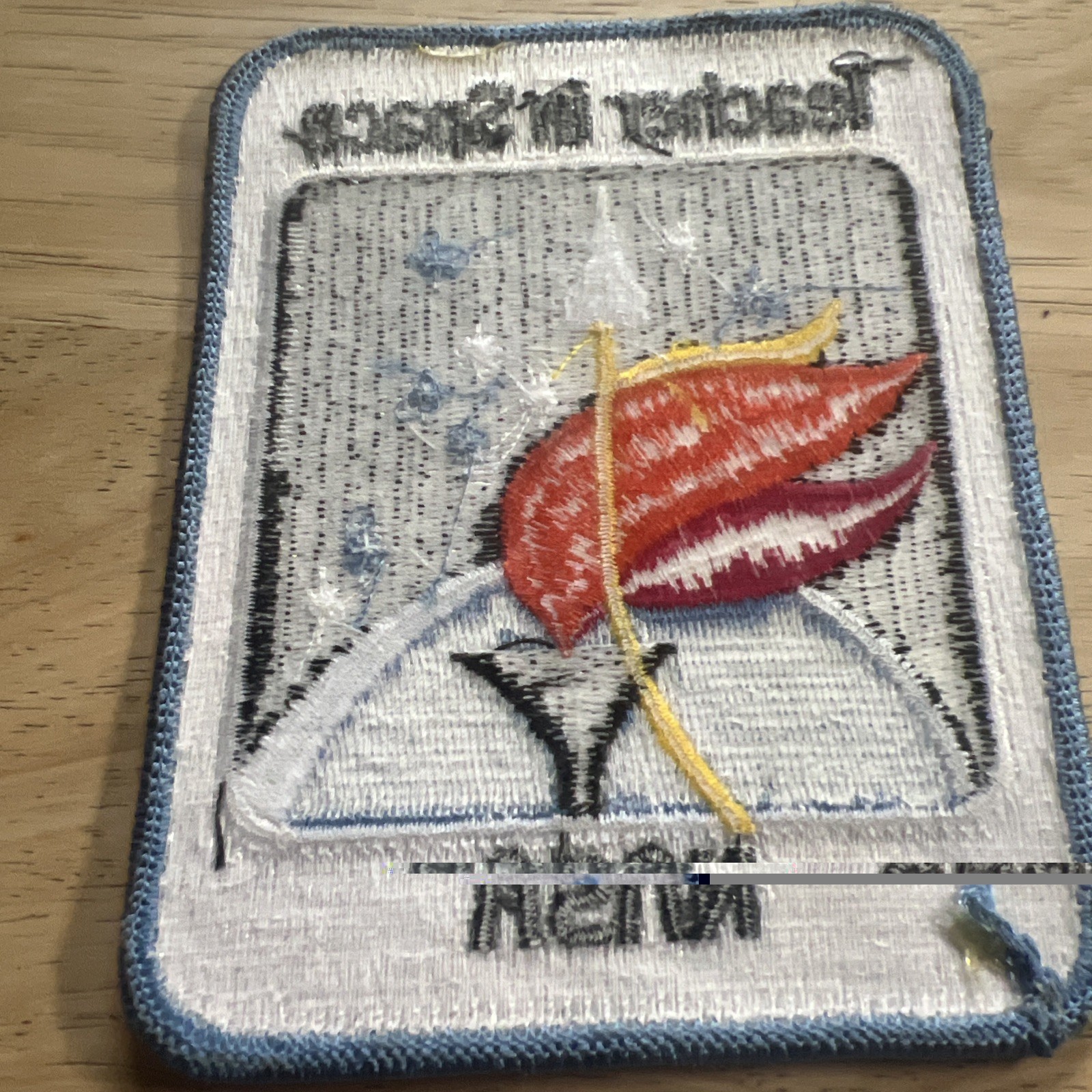 NASA “Teacher In Space” Shuttle Mission Patch. VTG