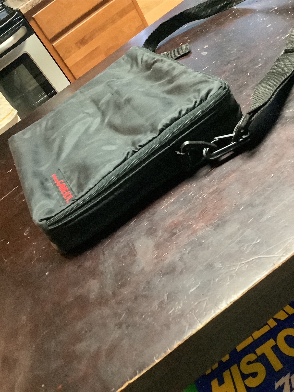 Nintendo Gameboy Travel Carrying Case