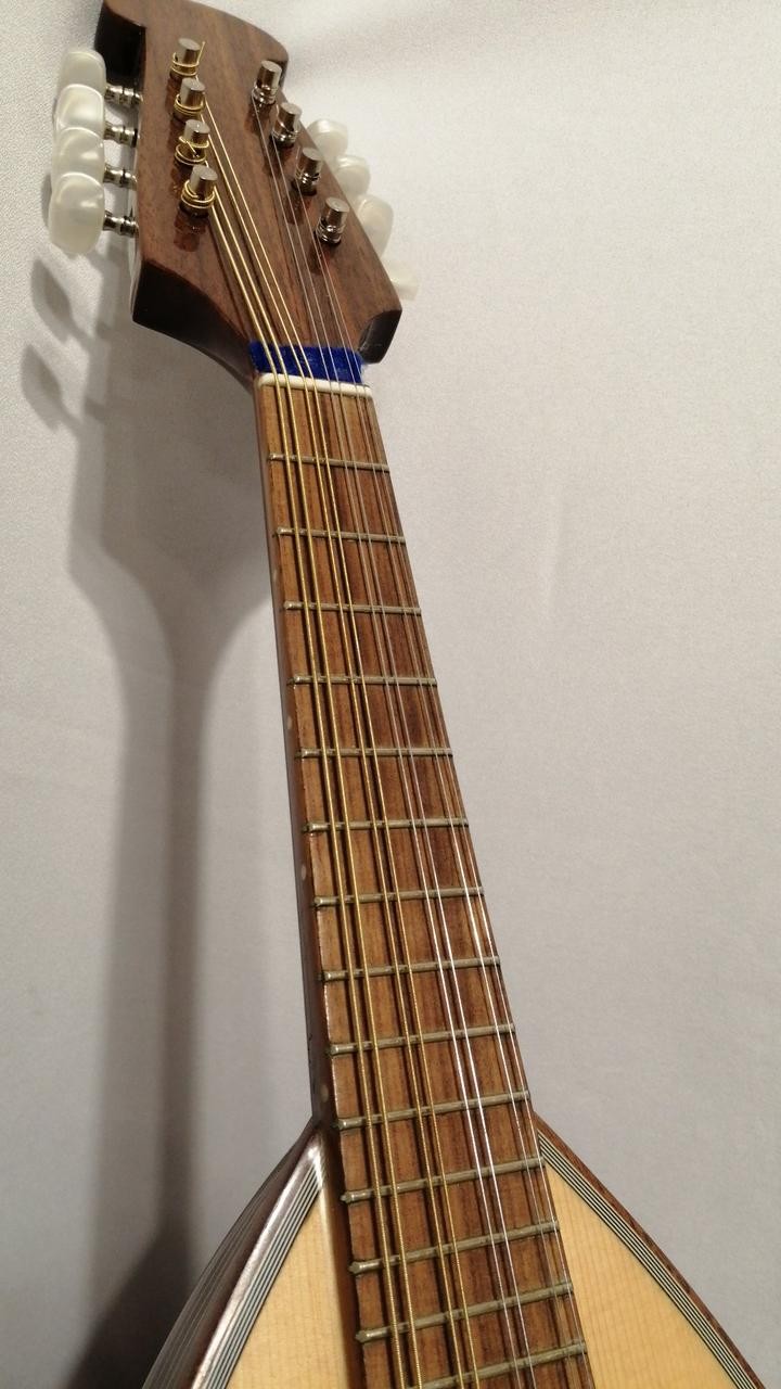 CALACE No.24 Mandolin