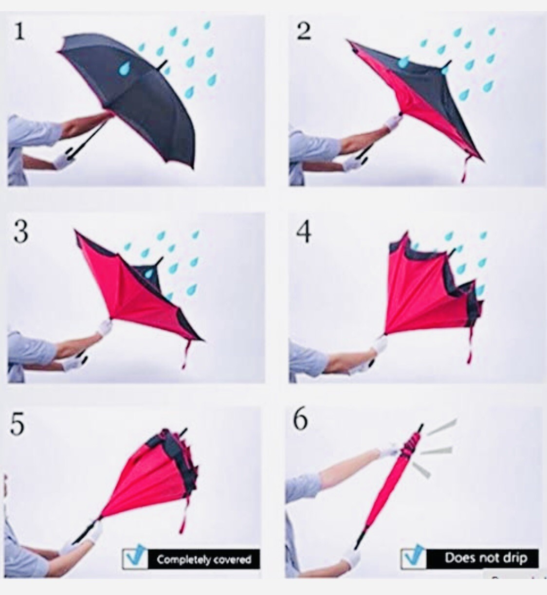 Purple/White Polka Dot & Black Double Layer Reverse Umbrellas - C Shaped Handle