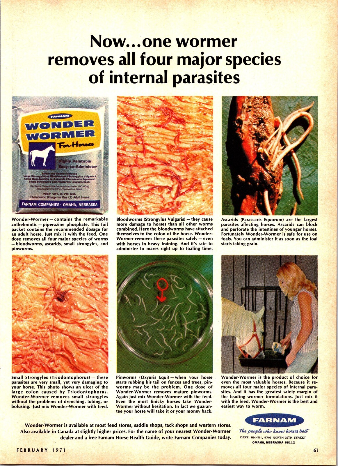 FARNAM Wonder Wormer Vintage Print Ad Ephemera Wall Decor