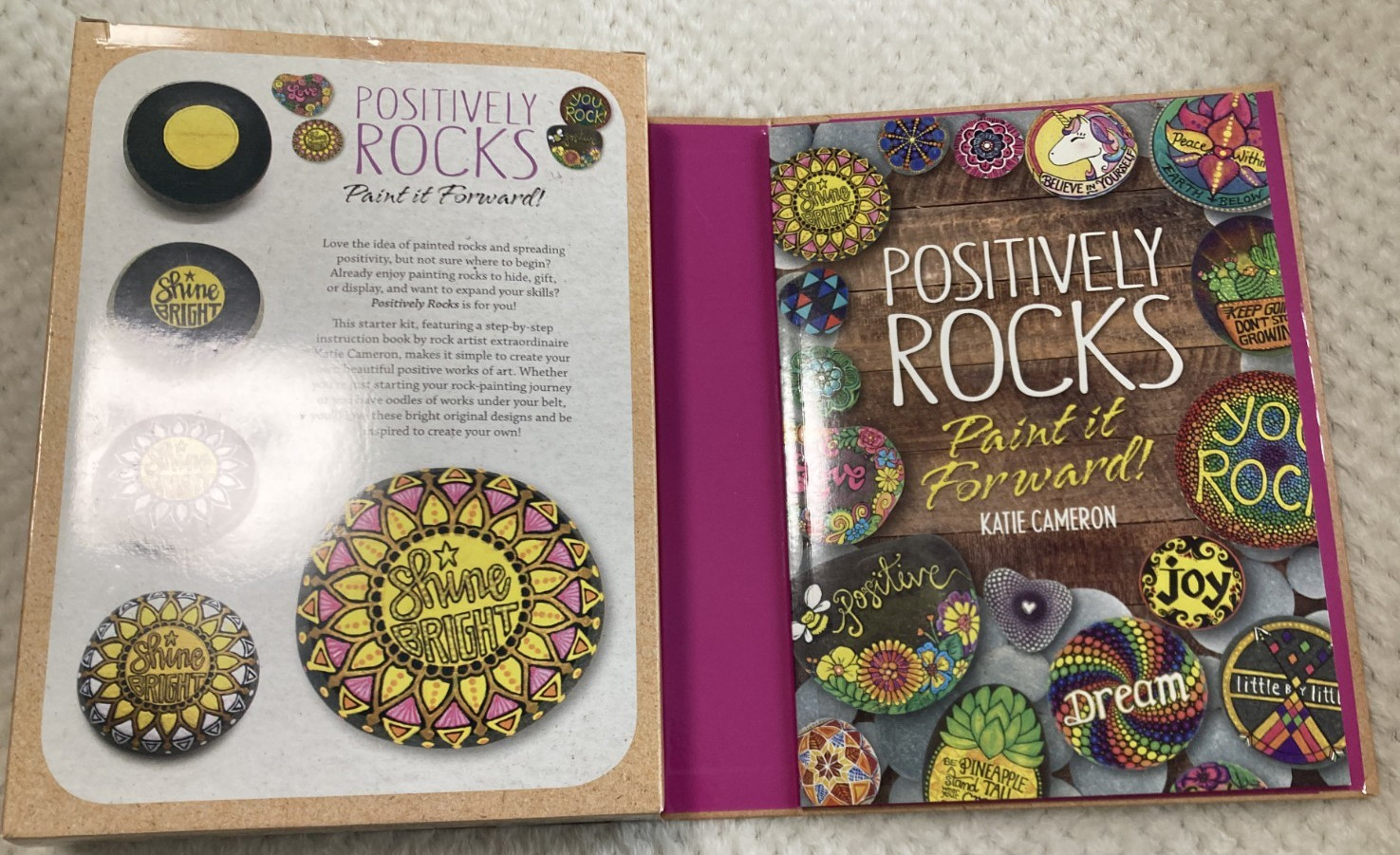 Positively Rocks Artist Rock painting Kit NEW in ORIGINAL SEALED BOX!
