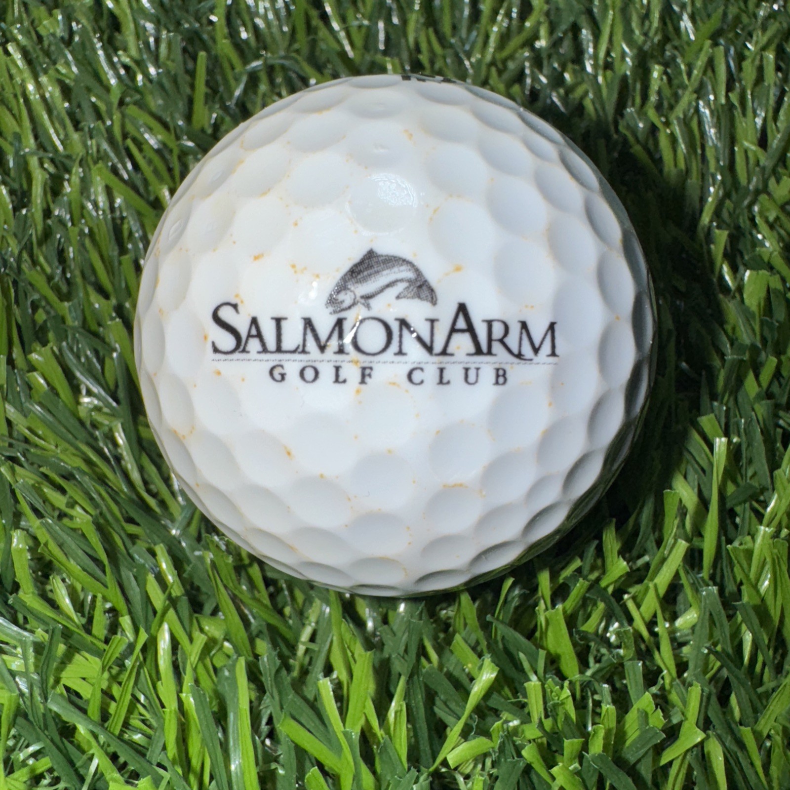 Rare Salmon Arm Golf Club Logo Golf Ball - Salmon Arm, BC, Canada