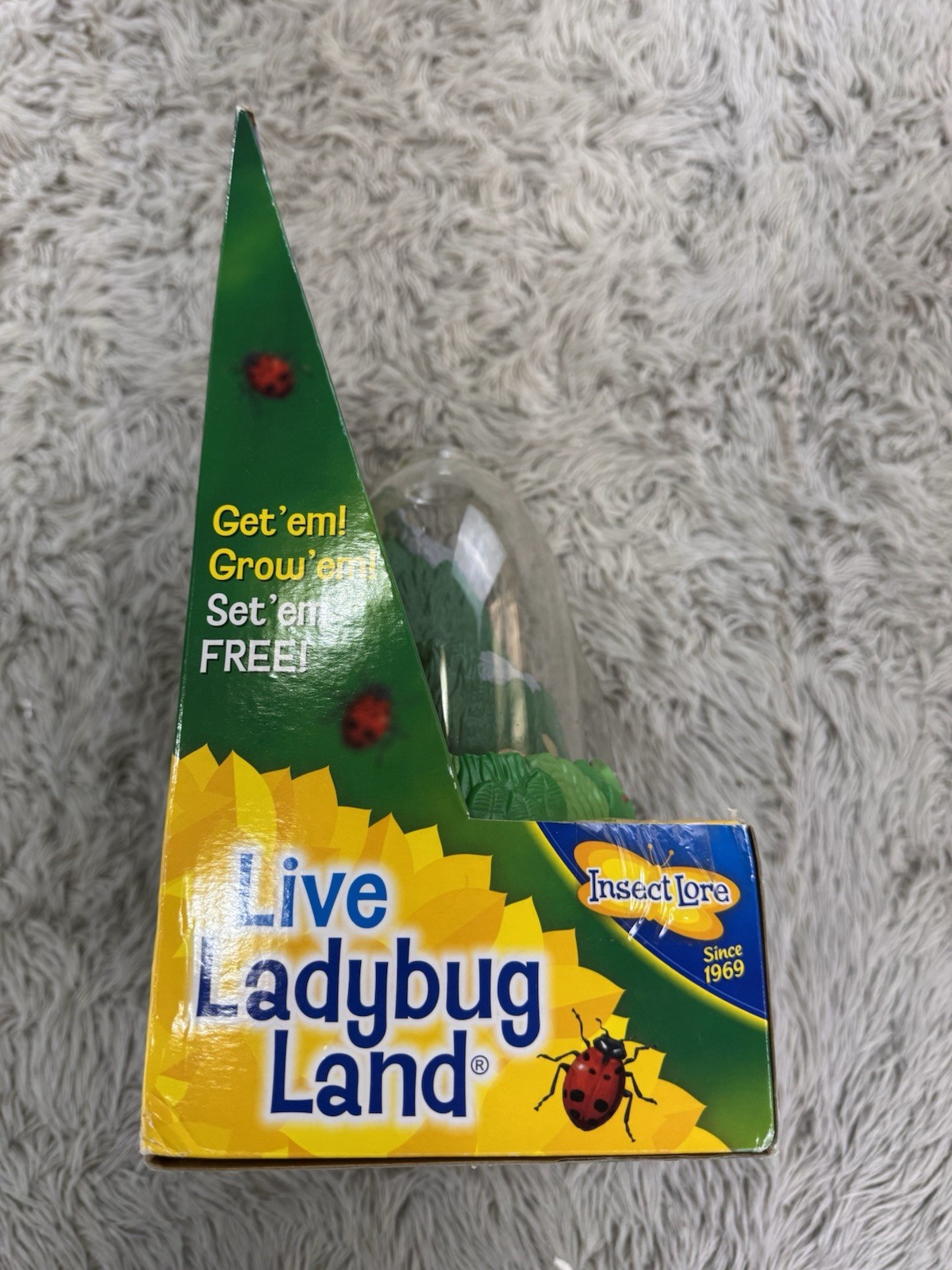 Insect Lore Live Ladybug Land Hatching Kit!
