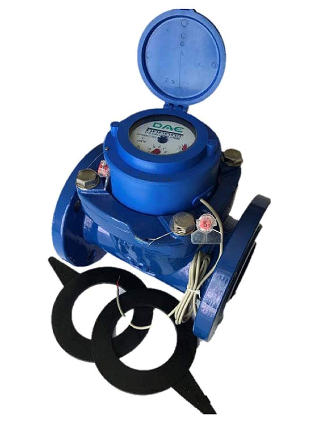 DAE WP-200P 2" Woltmann Helix Water Meter, IP68, Pulse Output, Gallon