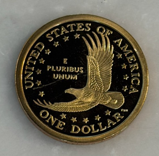 2007-S Sacagawea Proof Dollar - Native American