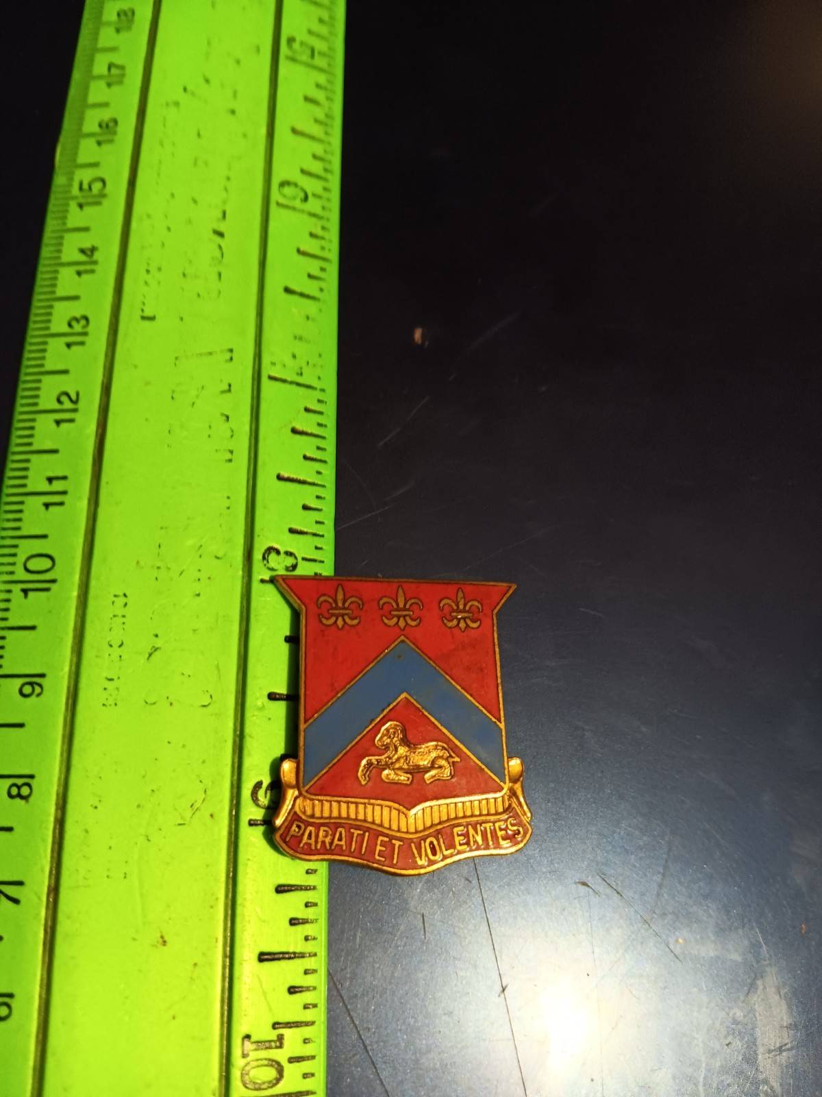 U.S. Army Single DUI- Paratlet Volentes (25-1508)