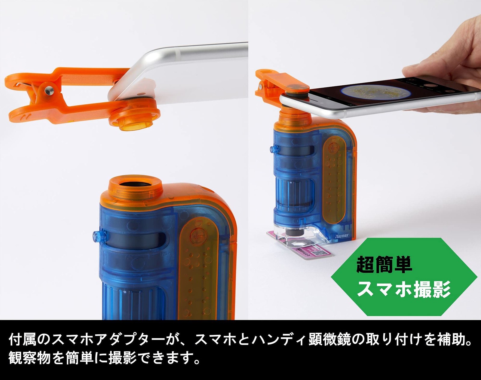 Raymay Fujii Handy Microscope ZOOM Micro Observation Set