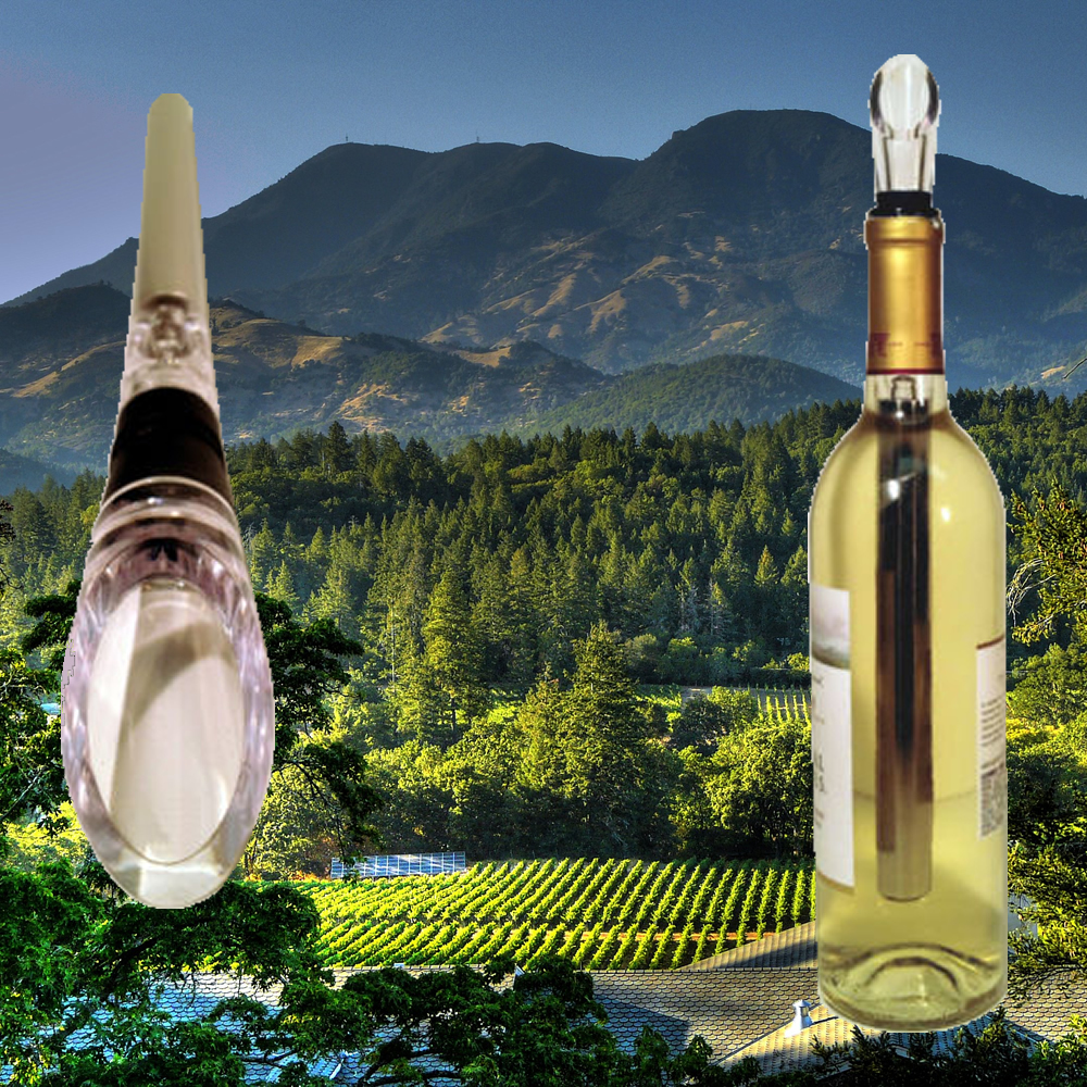 WINE Chiller Cooler Stick~Chill,Seal and Pour your Bottle of Wine~Free Ship