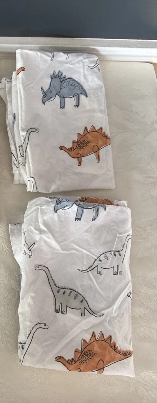 Pottery Barn Kids DINOSAURS Set of STANDARD Pillowcases Orange Blue 2PC
