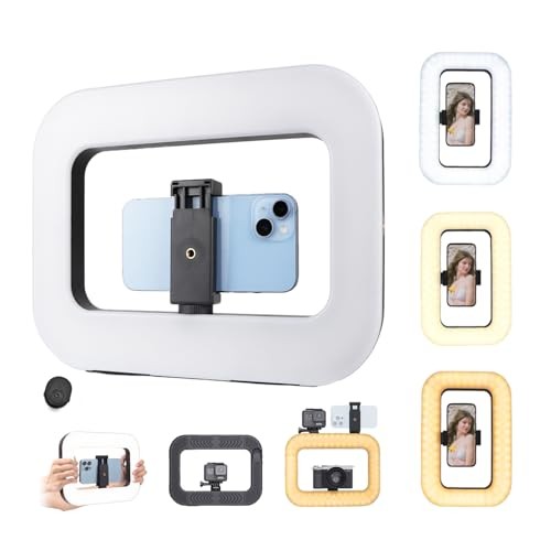 Smartphone Video Rig with Light, Handheld Ring Selfie Light Kit Mobile LED