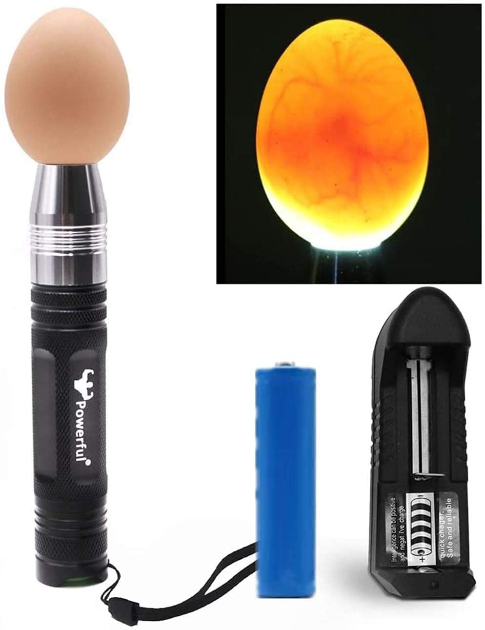 Professional LED Light Egg Candler Incubator Stainless Steel Tester for All E...