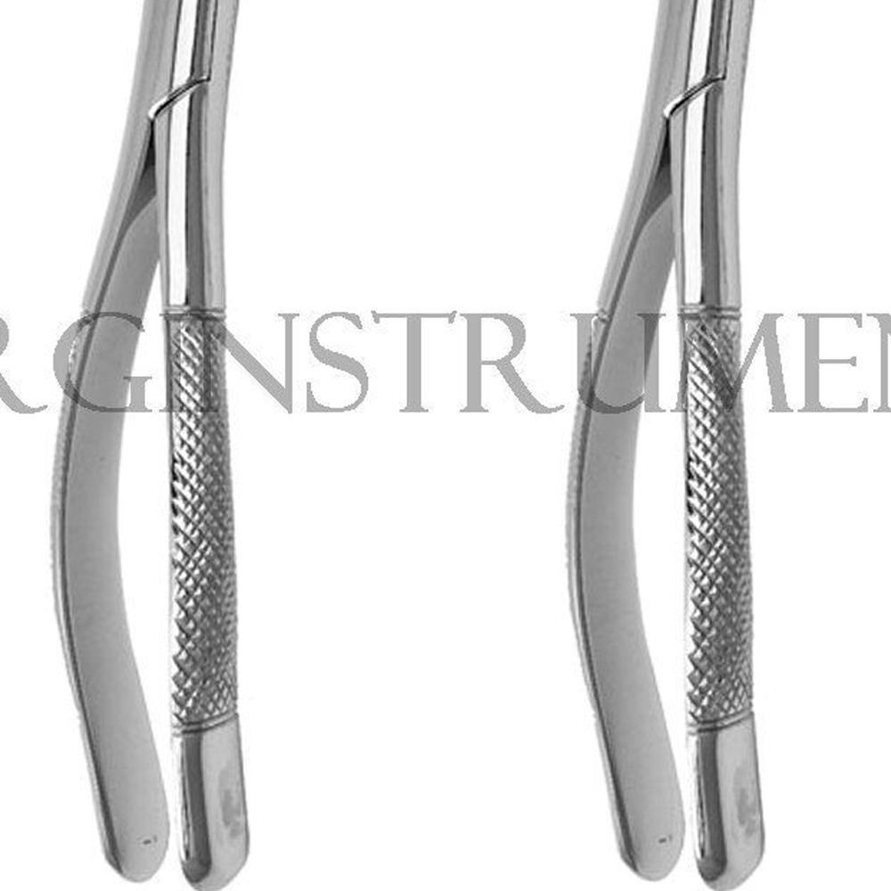 10 Pcs Extracting Forceps #150 & 151 Dental Instruments Stainless German Grade
