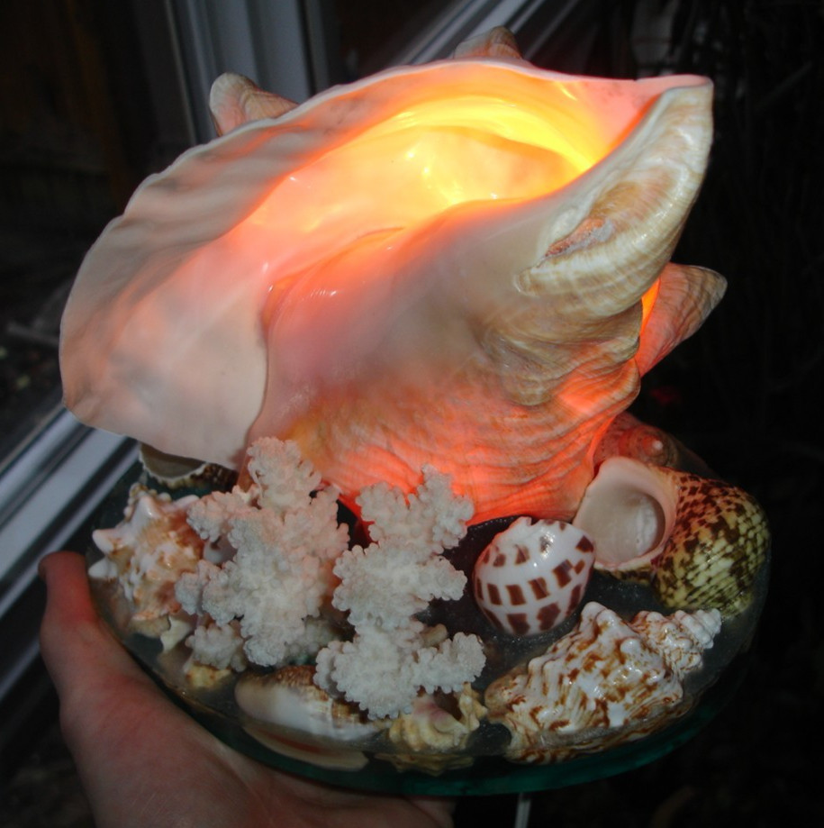 Vtg SEASHELL electric NIGHTLIGHT Conch & Coral LUCITE collection ocean blue Base