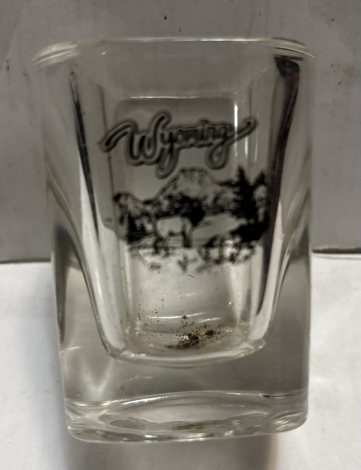 Wyoming Wildlife Landscape Square Shot Glass Vintage Souvenir Rare Fast Shipping