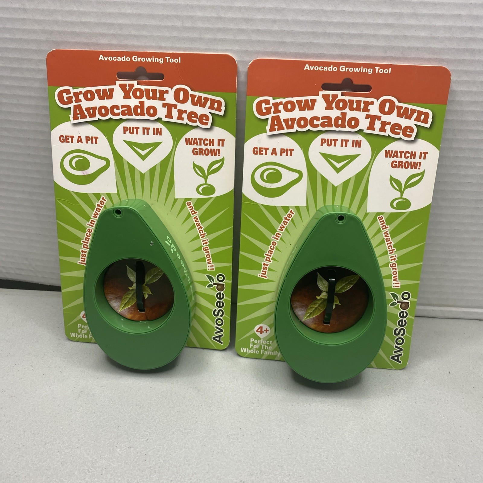 2 pcAvocado Tree Growing Kit Tool Bowl Pit Garden Plant Grow a Avocado