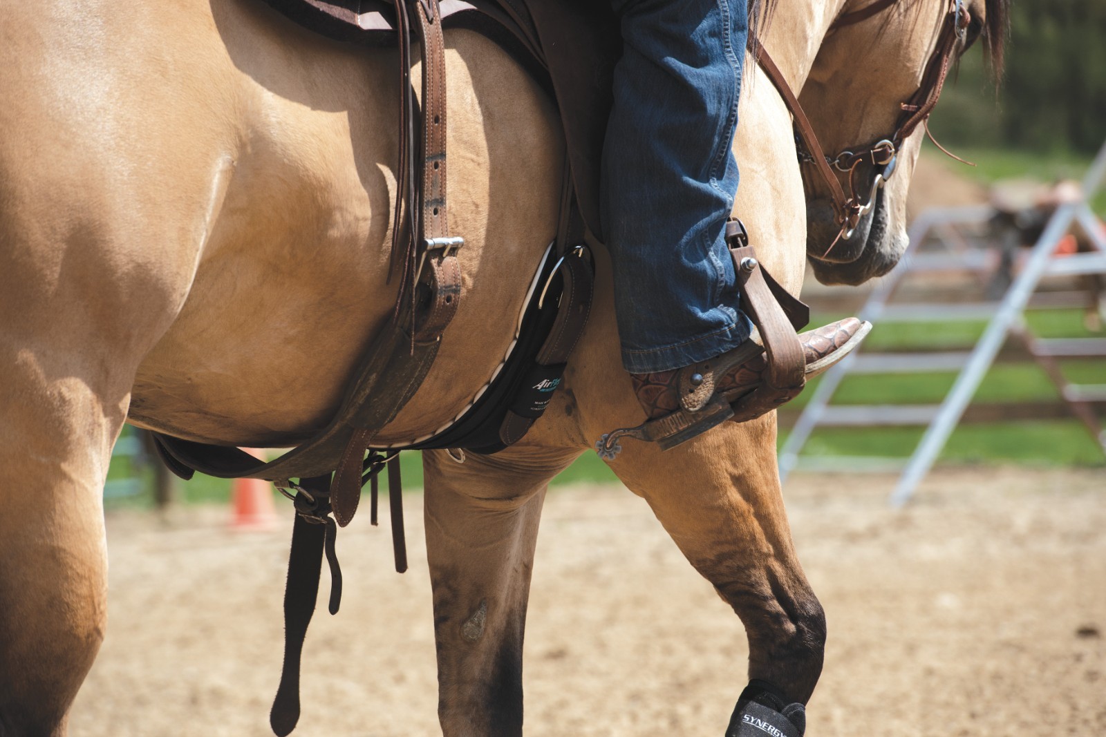 Weaver Leather, AirFlex® Roper Cinch with Flat Buckles