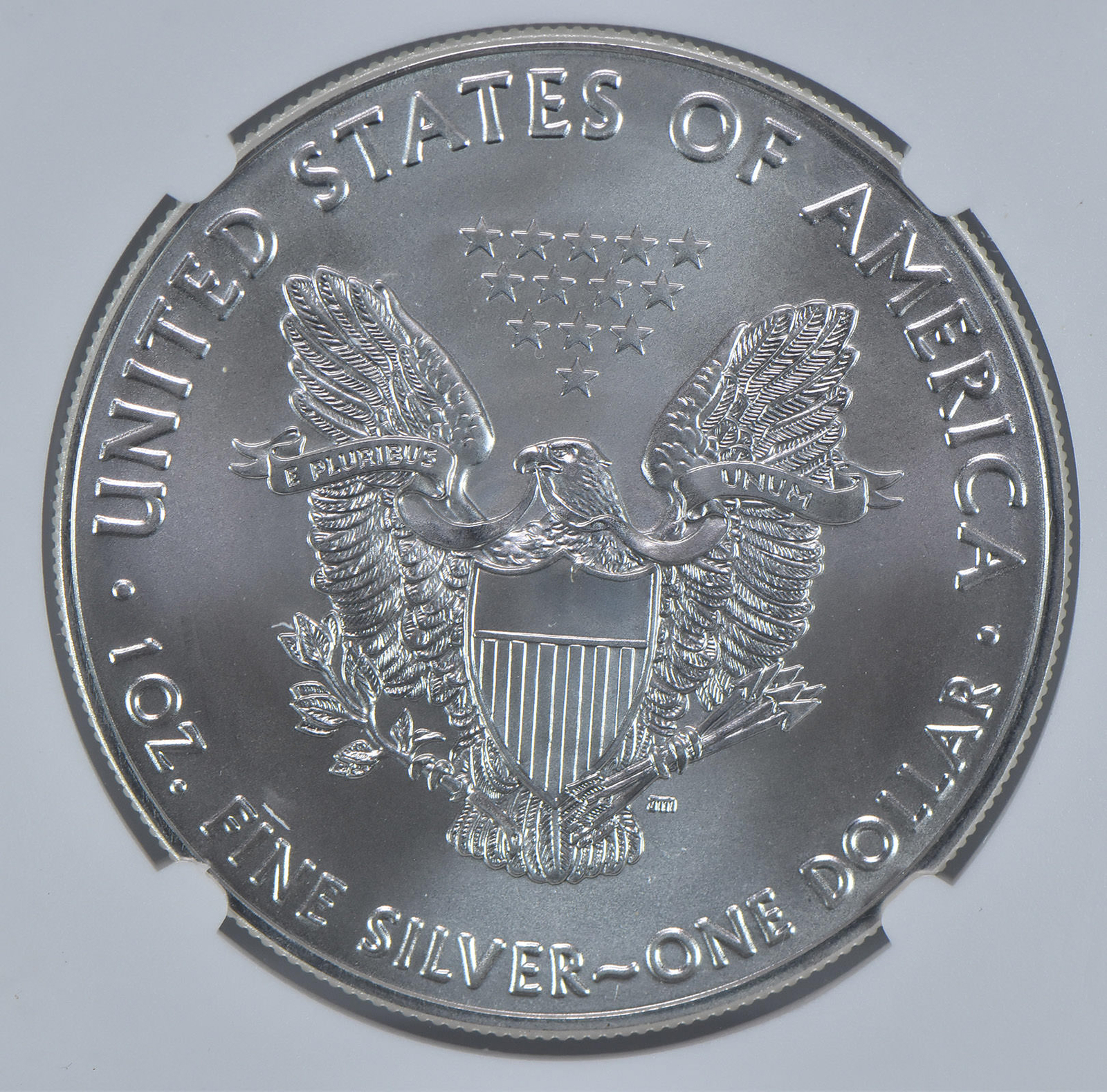 2016 American Silver Eagle Mint State 10 NGC X NGCX