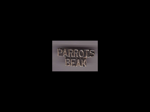 Parrots Beak script + a custom promo pin