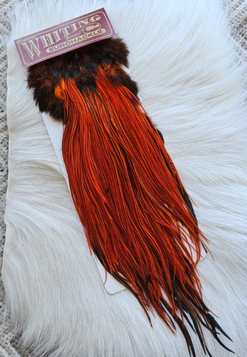 Whiting Euro"" Dry Fly  Full Saddle,, Color;  Badger/Orange.   Free Shipping.