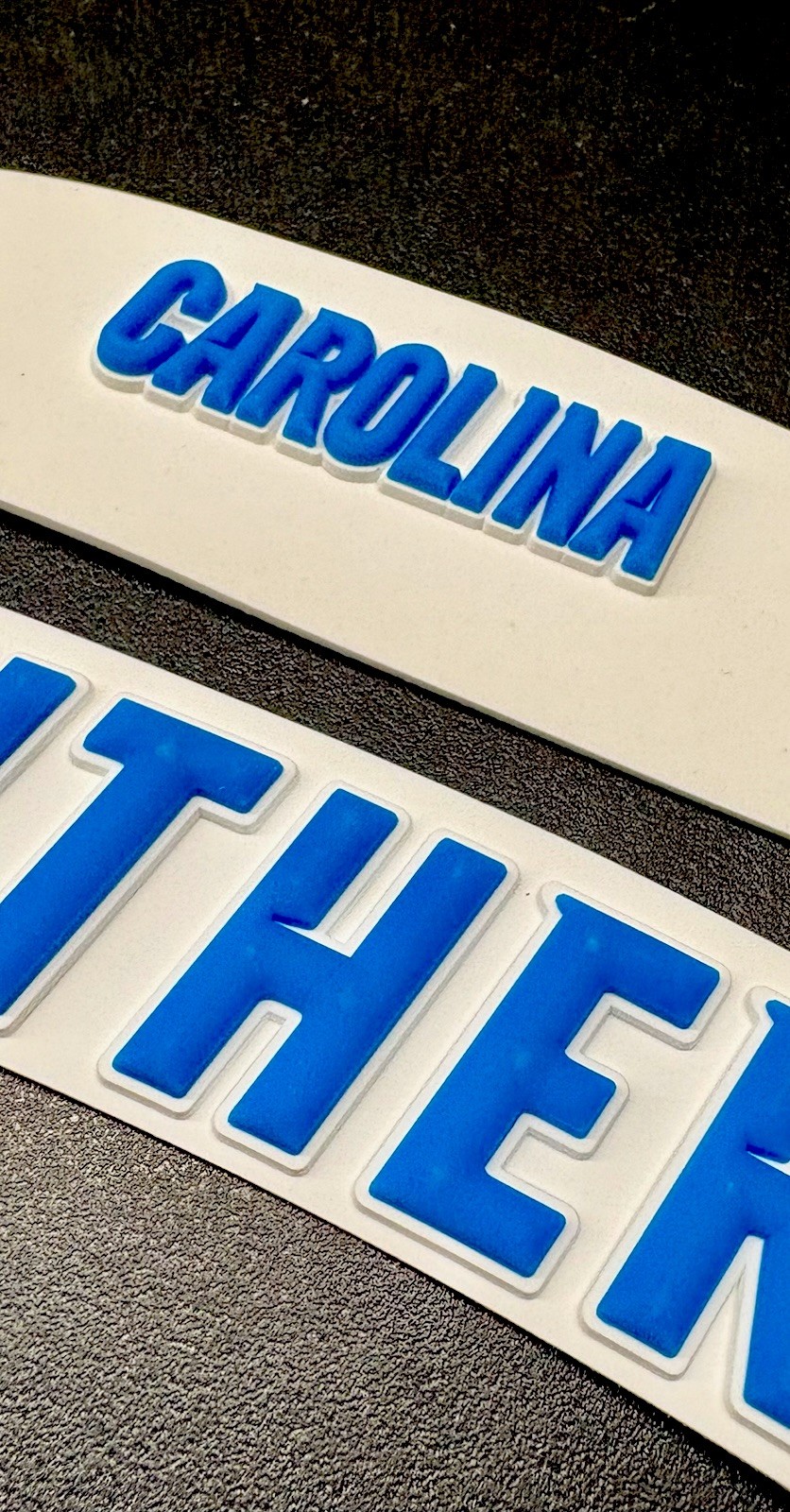 3D Bumpers - Panthers Speed Set for a Full Size Helmet