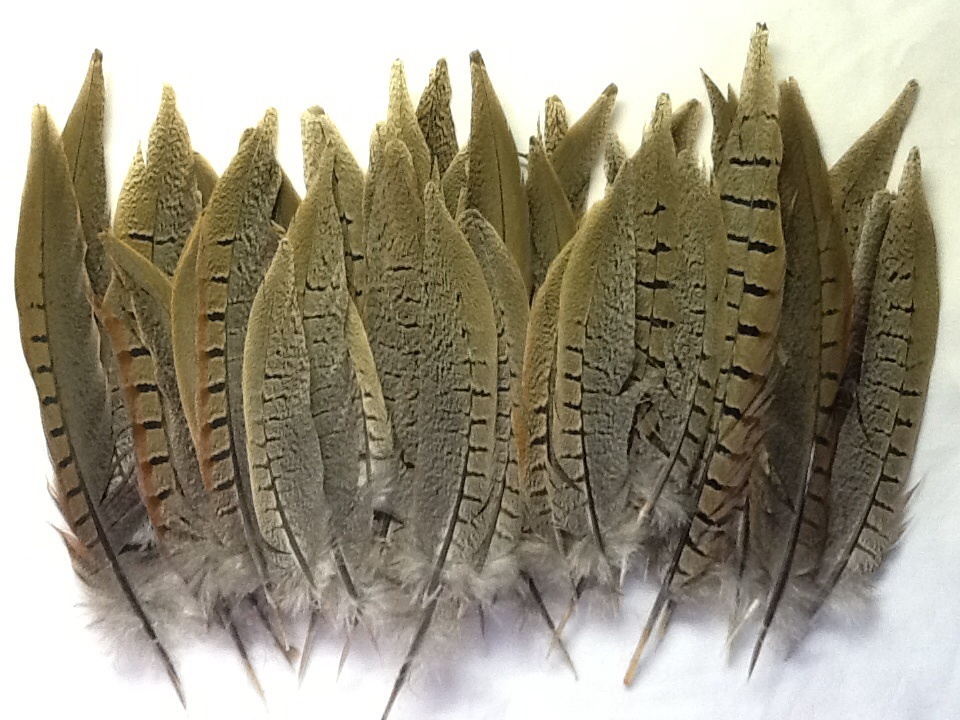 Natvie American Pheasant Tail Feathers for Crafts & Decorations