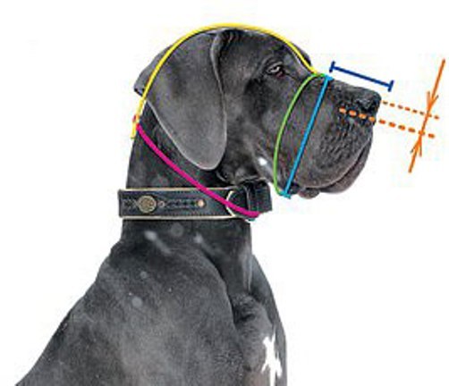 New Strong Metal Wire Basket Dog Muzzle Great Dane