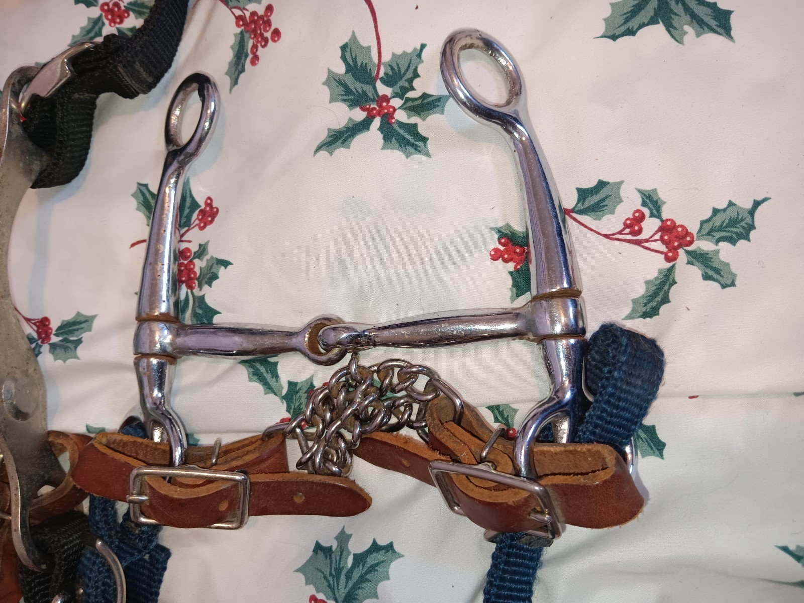 Western Chain Bit Curb Horse Bit w/ Long Shanks, Straps & Chain Curb Chain