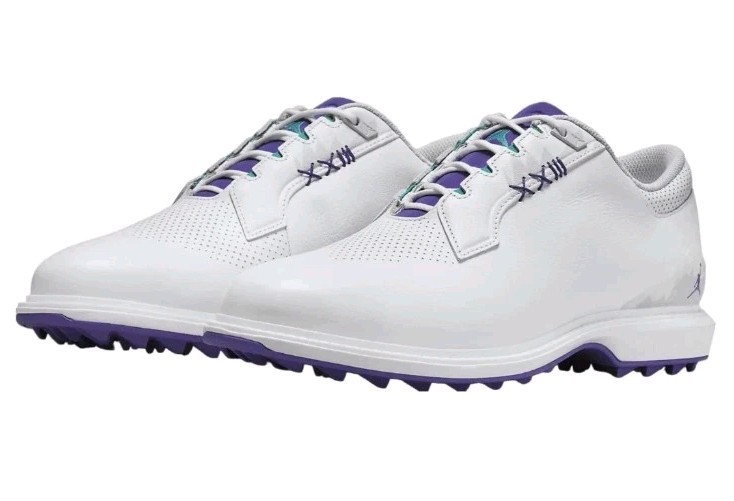 Nike Men's 9.5 Jordan ADG 5 Golf White Grape Ice Emerald Purple Aqua FQ7874-100