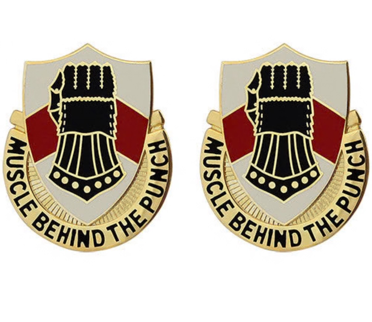 US ARMY UNIT CREST DUI 495TH SUPPORT BRIGADE "MUSCLE BEHIND THE PUNCH"